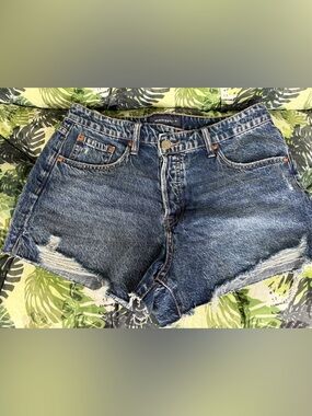 Aeropostale Vintage High Rise Shorty